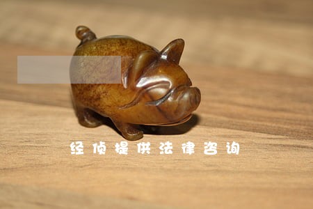 经侦提供法律咨询 经侦提供法律咨询