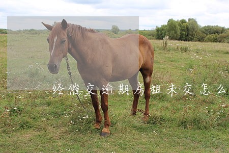 经催交逾期房租未交怎么解除合同 经催交逾期房租未交怎么解除合同