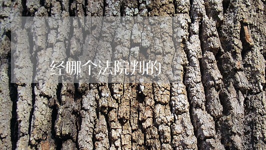 经哪个法院判的 经哪个法院判的