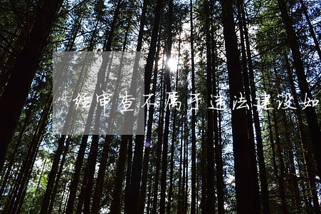 经审查不属于违法建设如何处理 经审查不属于违法建设如何处理