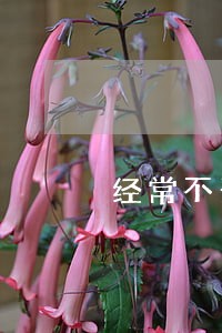 经常不开的小车保险能逾期吗 经常不开的小车保险能逾期吗