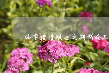 经常借借呗无逾期影响车贷吗 经常借借呗无逾期影响车贷吗