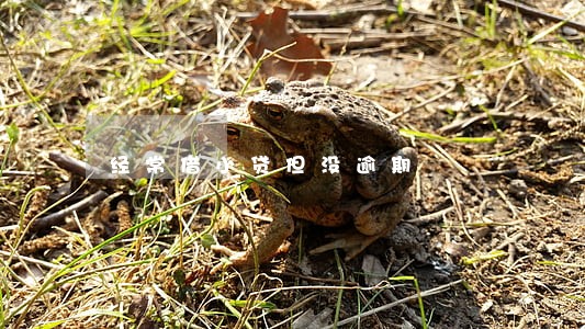 经常借小贷但没逾期 经常借小贷但没逾期