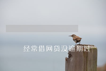 经常借网贷没逾期过 经常借网贷没逾期过