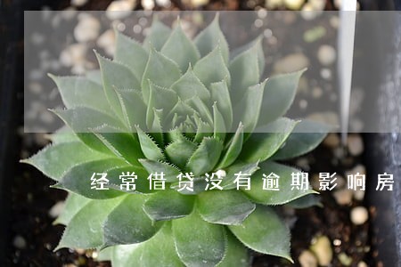 经常借贷没有逾期影响房贷吗