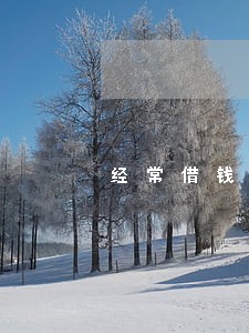 经常借钱但不逾期 经常借钱但不逾期