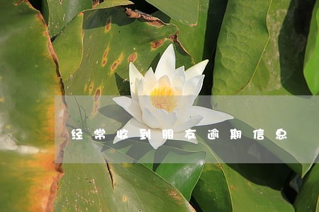 经常收到朋友逾期信息