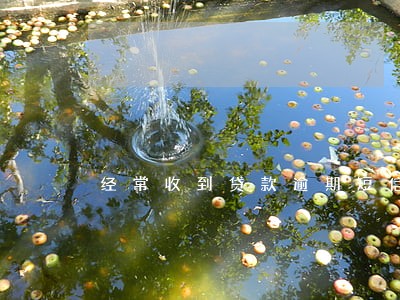 经常收到贷款逾期短信怎么办 经常收到贷款逾期短信怎么办