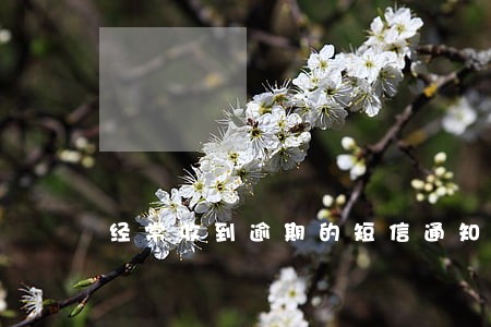 经常收到逾期的短信通知怎么办 经常收到逾期的短信通知怎么办