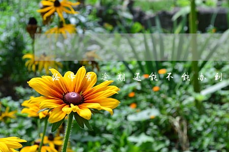 经常有逾期还能不能办到信用卡