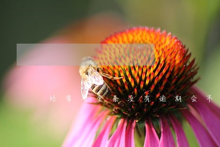 经常用金条没有逾期会不会影响