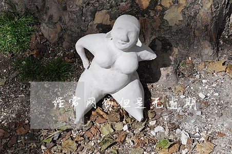 经常网贷但是无逾期