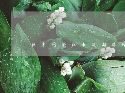 经常网贷但未逾期银行会放贷吗 经常网贷但未逾期银行会放贷吗