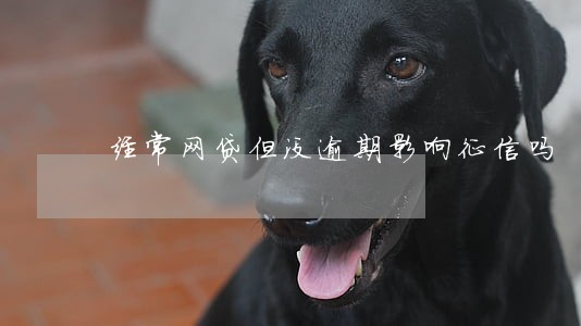 经常网贷但没逾期影响征信吗 经常网贷但没逾期影响征信吗