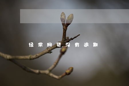 经常网贷没有逾期