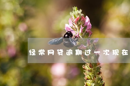 经常网贷逾期过一次现在办车贷 经常网贷逾期过一次现在办车贷