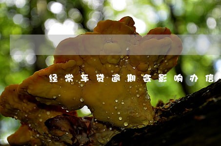 经常车贷逾期会影响办信用卡吗 经常车贷逾期会影响办信用卡吗