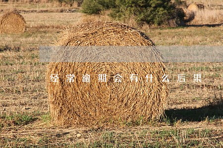 经常逾期会有什么后果 经常逾期会有什么后果