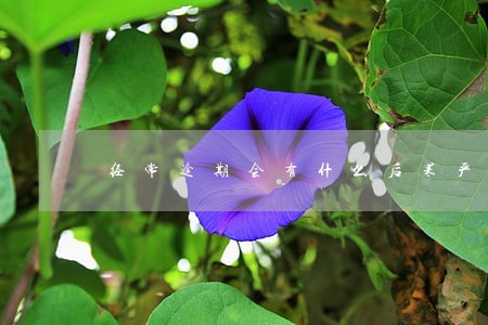 经常逾期会有什么后果严重