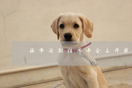 经常逾期信用卡会上升额度 经常逾期信用卡会上升额度