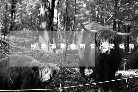 经常逾期信用卡还能提额吗