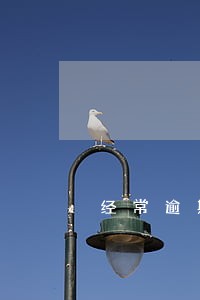 经常逾期几天会影响信用吗 经常逾期几天会影响信用吗