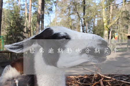 经常逾期影响分期买车 经常逾期影响分期买车