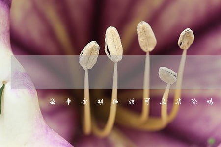 经常逾期征信可以消除吗 经常逾期征信可以消除吗
