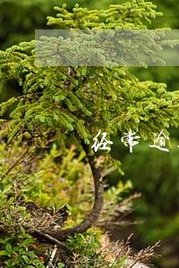 经常逾期的人在网上还借的到钱么 经常逾期的人在网上还借的到钱么