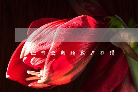 经常逾期的客户不得 经常逾期的客户不得