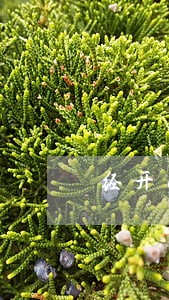 经开区知名婚姻律师收费 经开区知名婚姻律师收费