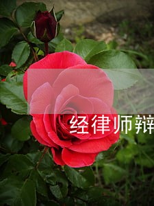 经律师辩护成功争取不起诉 经律师辩护成功争取不起诉