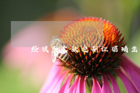 经核查欠款逾期证据确凿 经核查欠款逾期证据确凿