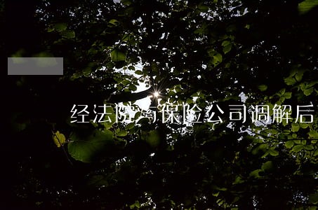 经法院与保险公司调解后 经法院与保险公司调解后