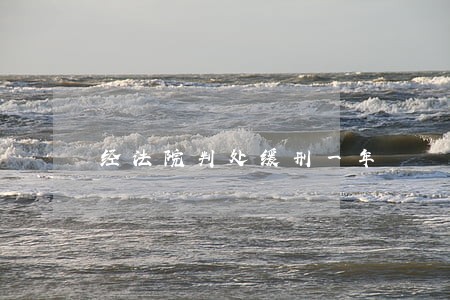 经法院判处缓刑一年 经法院判处缓刑一年