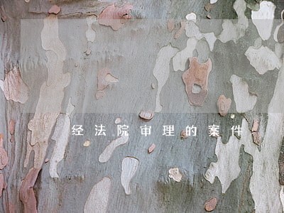 经法院审理的案件