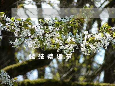 经法院调节 经法院调节