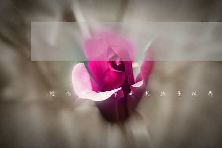 经法院调节并判孩子抚养权归我 经法院调节并判孩子抚养权归我