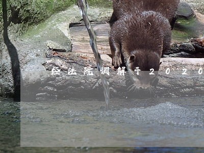 经法院调解于2020年三月份个 经法院调解于2020年三月份个