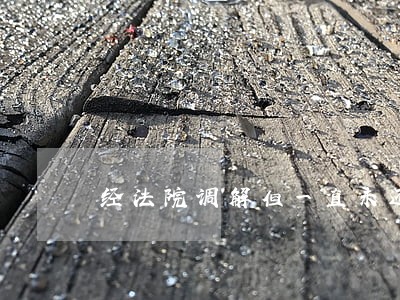 经法院调解但一直未还