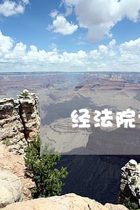 经法院调解出据了调解书 经法院调解出据了调解书