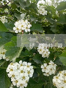 经济仲裁委逾期不出裁决怎么办 经济仲裁委逾期不出裁决怎么办