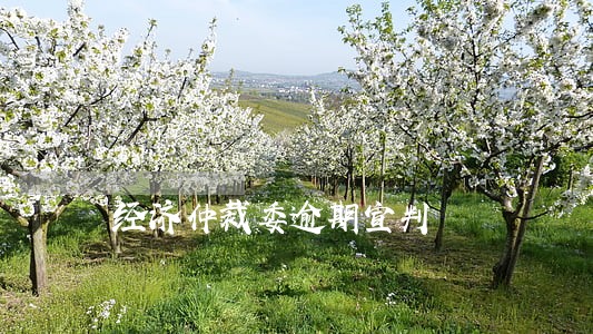 经济仲裁委逾期宣判 经济仲裁委逾期宣判