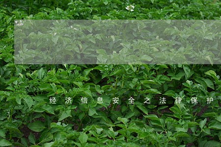经济信息安全之法律保护问题探讨 经济信息安全之法律保护问题探讨