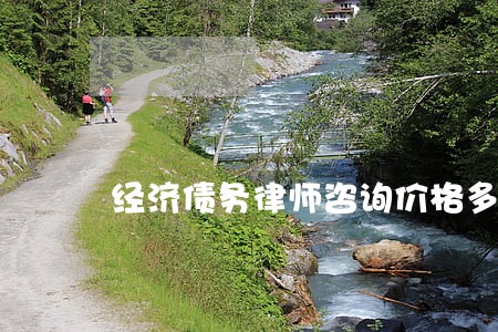 经济债务律师咨询价格多少钱 经济债务律师咨询价格多少钱