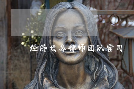 经济债务律师团队官司 经济债务律师团队官司