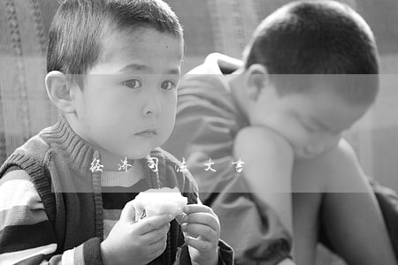 经济司法文书 经济司法文书