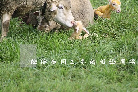 经济合同2年的诉讼有效期 经济合同2年的诉讼有效期