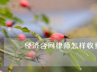经济合同律师怎样收费 经济合同律师怎样收费