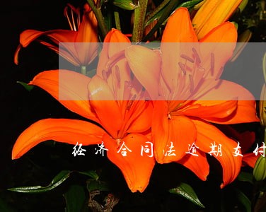 经济合同法逾期支付的规定 经济合同法逾期支付的规定